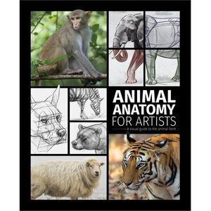 Animal Anatomy for Artists: A Visual Guide to the Animal Form -- Publishing